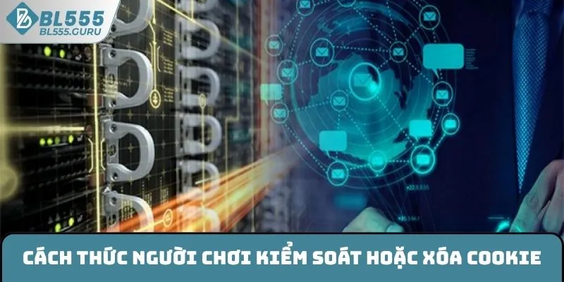 Cách thức người chơi kiểm soát hoặc xóa cookie