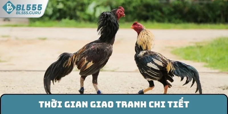 Thời gian giao tranh chi tiết