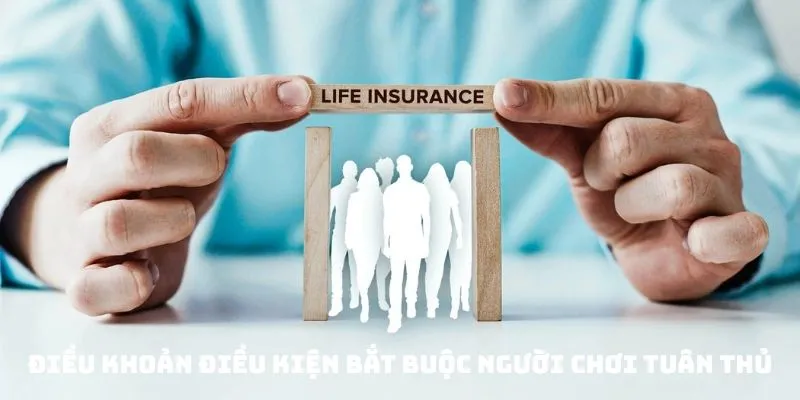 Điều Khoản Điều Kiện 2025 - Đặt Cược Ở BL555 Cần Nhớ Kỹ 1 Điều khoản điều kiện bắt buộc người chơi tuân thủ