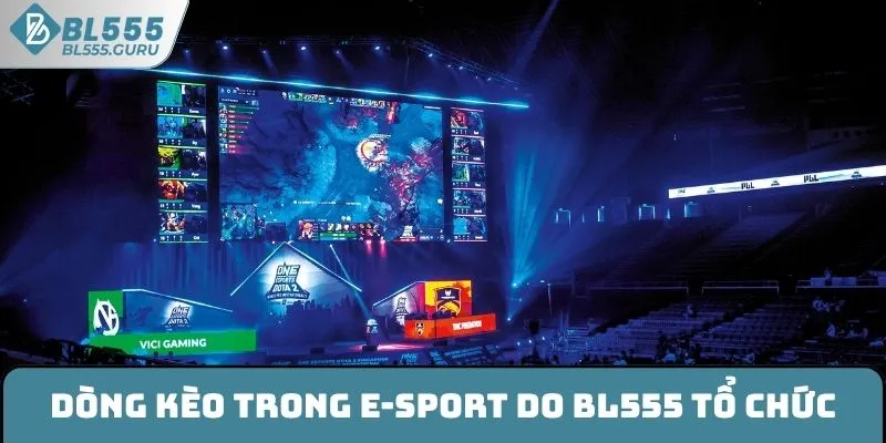 Những dòng kèo trong E-sport do BL555 tổ chức