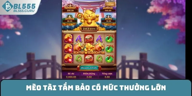 Mèo tài tầm bảo có mức thưởng lớn