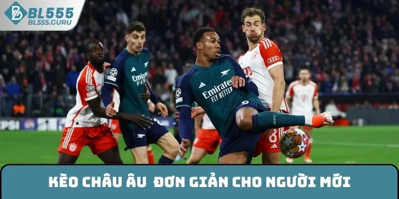 Kèo châu Âu có cách chơi đơn giản cho người mới