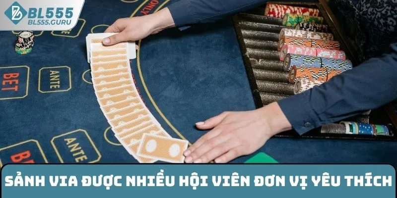 Sảnh ViA được nhiều hội viên đơn vị yêu thích