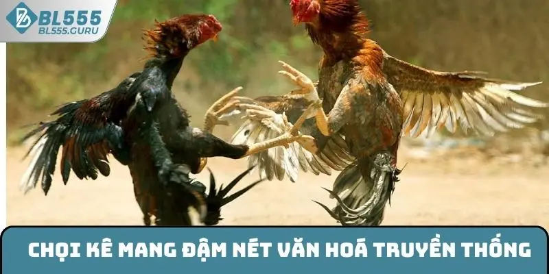 Chọi kê mang đậm nét văn hoá truyền thống