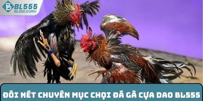 Đôi nét chuyên mục chọi đá gà cựa dao BL555