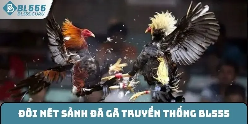 Đôi nét sảnh đá gà truyền thống BL555