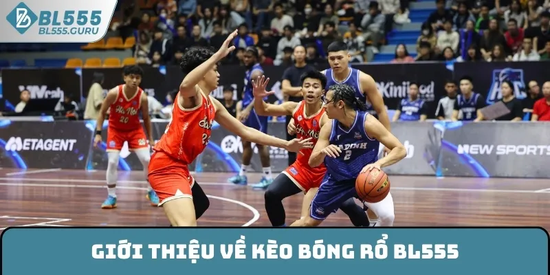 Giới thiệu về kèo bóng rổ BL555