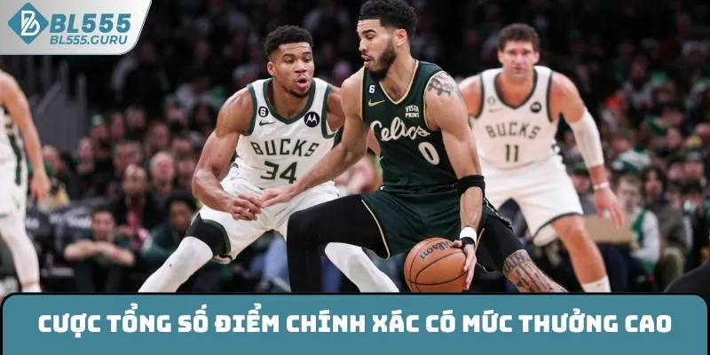 Cược tổng số điểm chính xác có mức thưởng cao