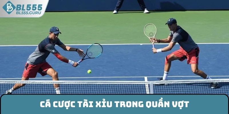 Cá cược Tài xỉu trong quần vợt