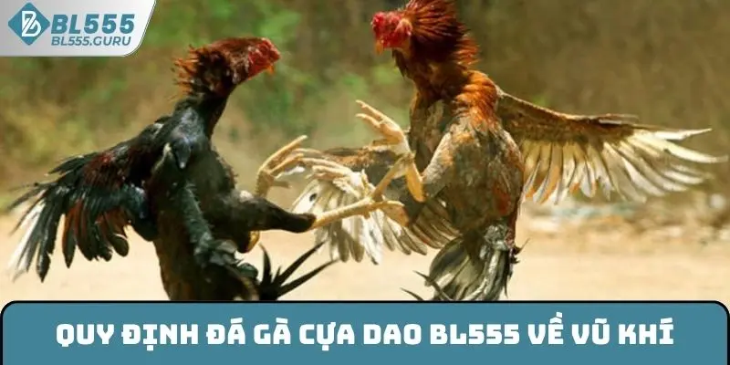 Quy định đá gà cựa dao BL555 về vũ khí